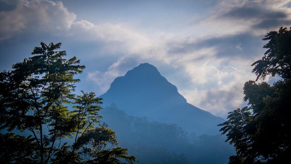 A scenic outdoor view featuring a tall, forest-covered mountain with a distinct peak, partially obscured by mist and clouds. In the foreground, there are green trees with dense foliage on both sides, framing the mountain. The sky above has a mix of light and dark clouds, with some sunlight breaking through, creating a contrast between shadowed and illuminated areas. The image captures the natural landscape, emphasizing the mountain's prominence and the lush greenery surrounding it, which could be relevant to house removals or relocation discussions involving scenic or rural properties.
